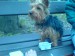 DSC00908.JPG